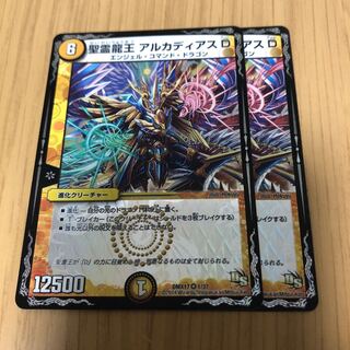 聖霊龍王 アルカディアスD