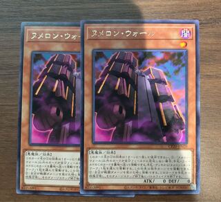 ヌメロン・ウォール