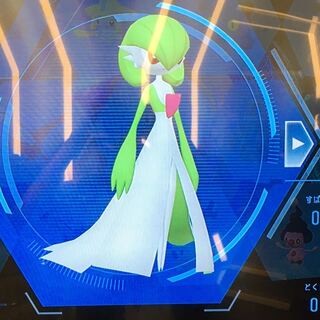 サーナイト 募集