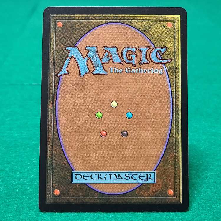 匿名配送　適者生存 magic MTG 日本語　プレイ用 匿名配送 適者生存 magic MTG 日本語 プレイ用