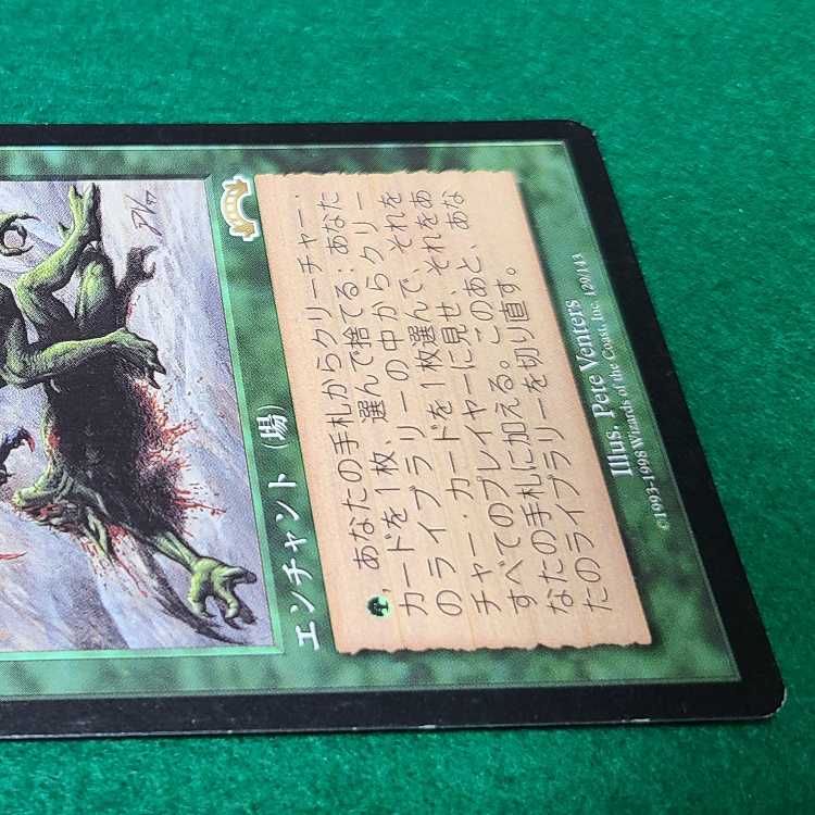 匿名配送　適者生存 magic MTG 日本語　プレイ用 匿名配送 適者生存 magic MTG 日本語 プレイ用