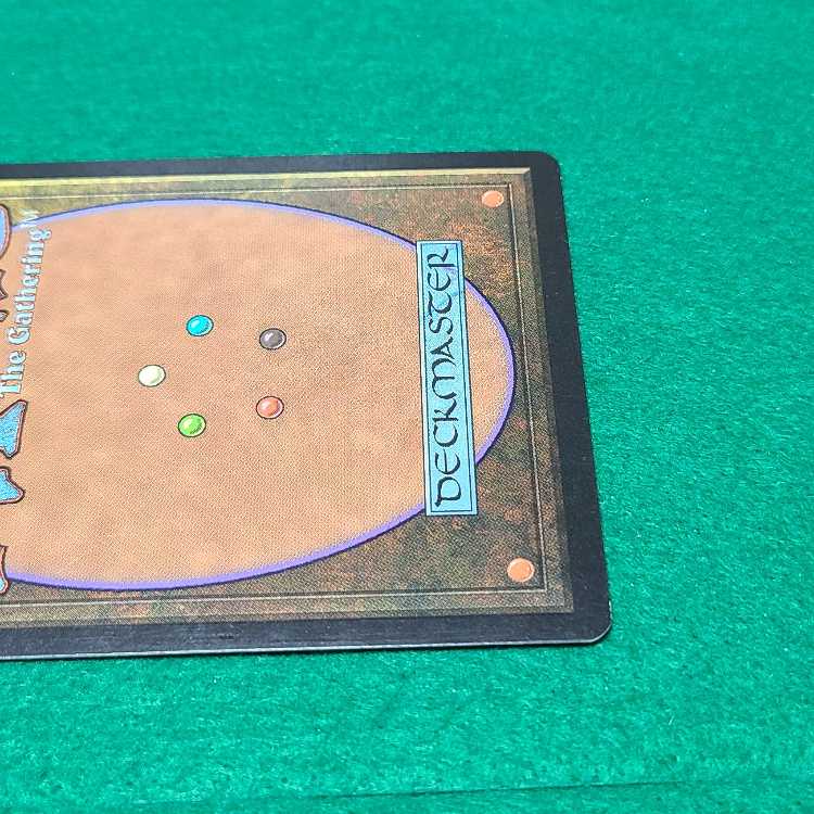 匿名配送　適者生存 magic MTG 日本語　プレイ用 匿名配送適者生存 magic MTG 日本語プレイ用