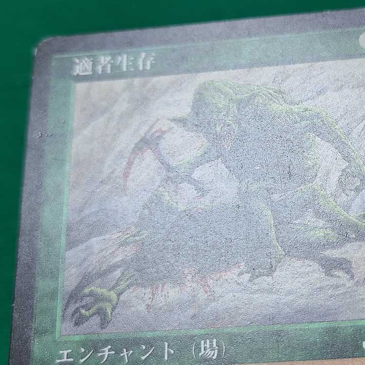 Japanese (language) Survival of the Fittest Rare 129/143
