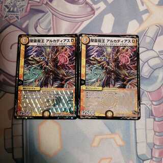 聖霊龍王 アルカディアスD