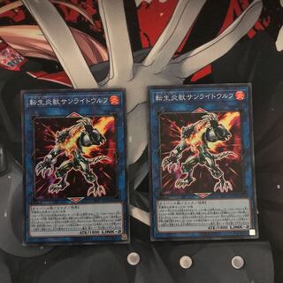 【のいず様専用】転生炎獣サンライトウルフ