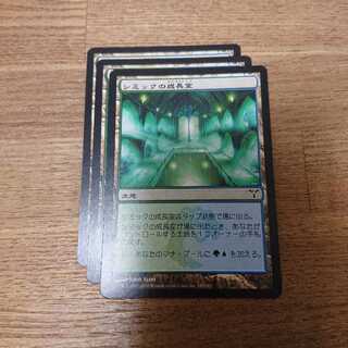 MTG Common Simic Growth Chamber Dissension