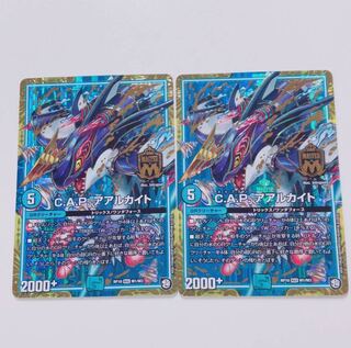 2枚 アアルカイト 2枚