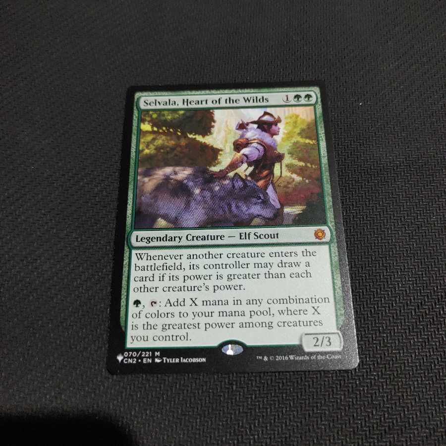 送料込 野生の心、セルヴァラ ENG MB1