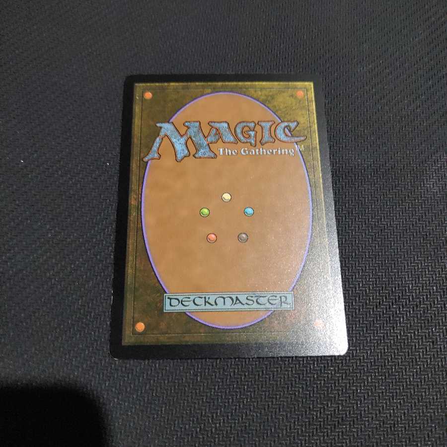 送料込 野生の心、セルヴァラ ENG MB1