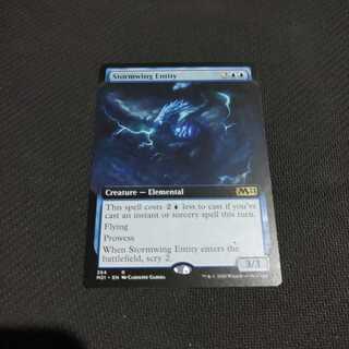 送料込 嵐翼の精体 ENG 拡張