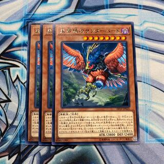 未界域のサンダーバード R