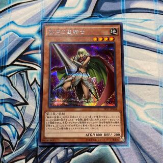 薔薇の聖騎士 SE