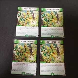 Bont Plantivo C 4 sheets