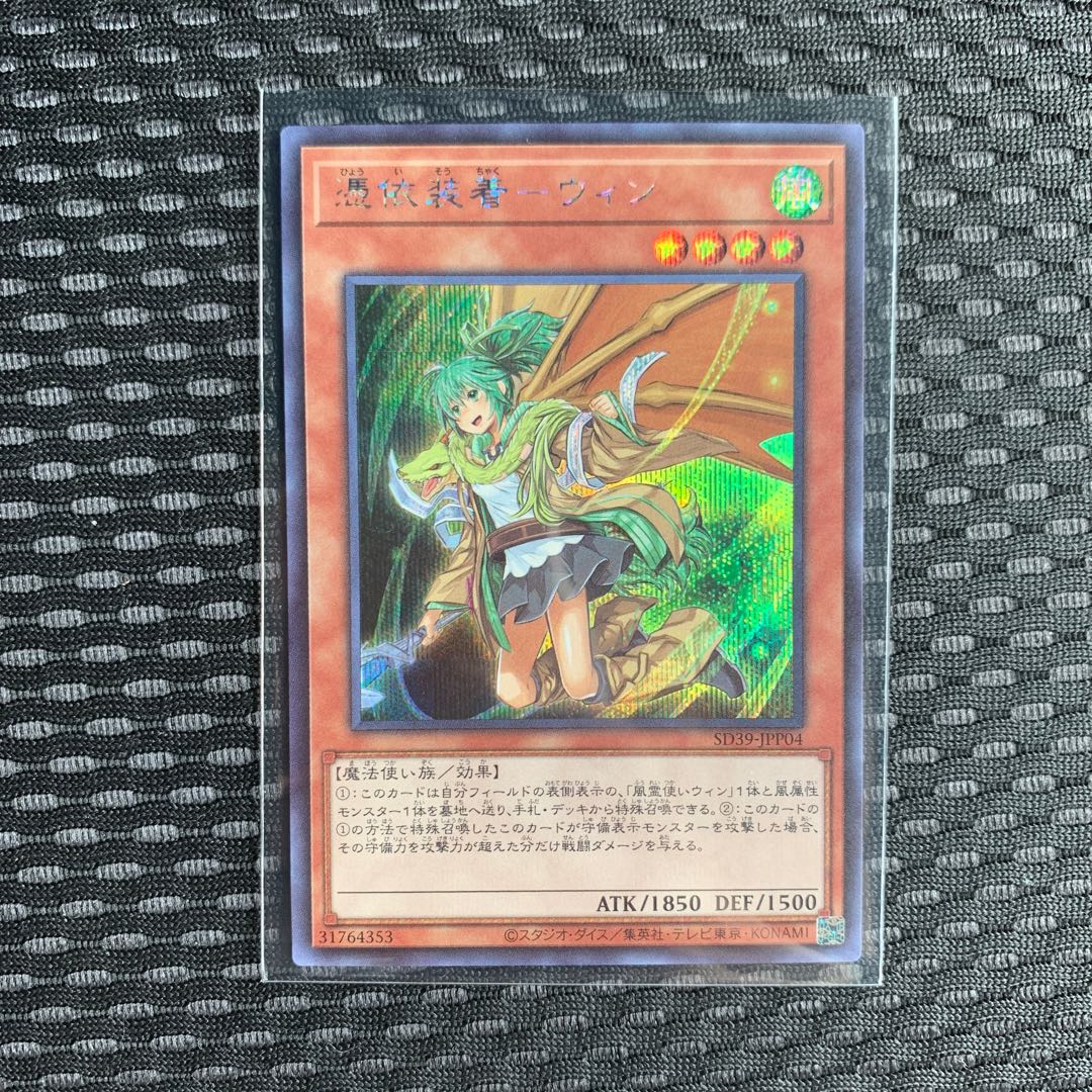 憑依装着-ウィン シク