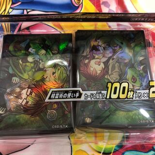 精霊術の使い手　スリーブ