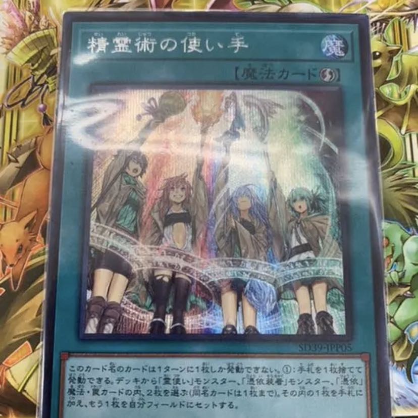 精霊術の使い手　シークレット