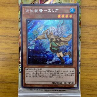 憑依装着-エリア　シク