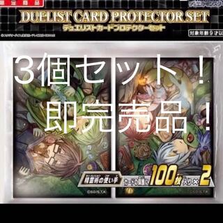 精霊術の使い手　スリーブ