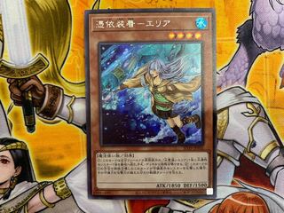 憑依装着-エリア シク