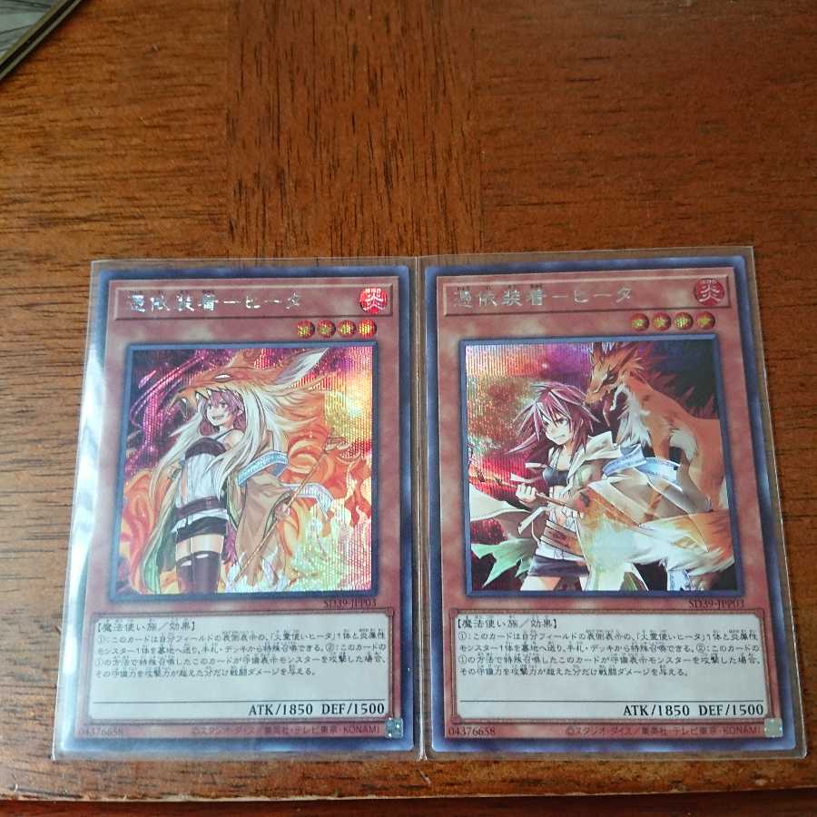 憑依装着-ヒータ2枚(通常、絵違い