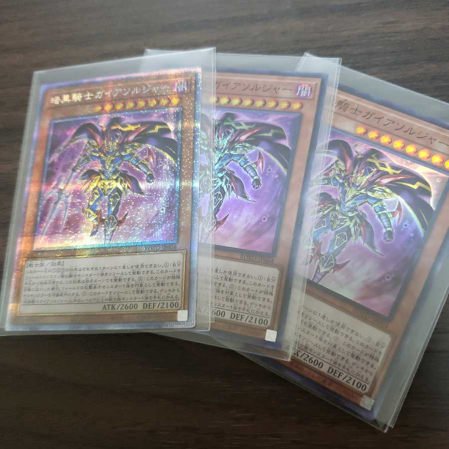 暗黒騎士ガイアソルジャー PSE&SR