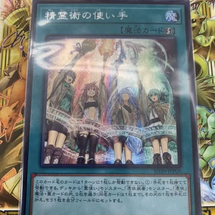 精霊術の使い手　シークレット