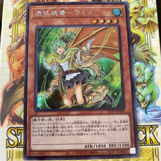 憑依装着-ウィン シークレット 絵違いの通販 池ピーちゃん 引退 憑依装着-ウィン シークレット 絵違いの通販 池ピーちゃん 引退