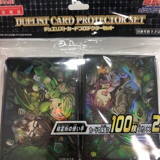 精霊術の使い手　スリーブ