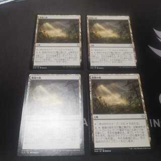 【XLN】廃墟の地