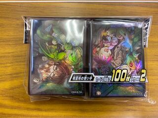 精霊術の使い手スリーブ