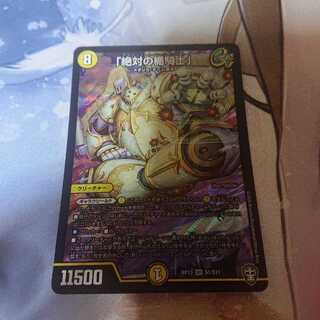 「絶対の楯騎士」