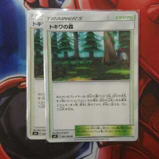 トキワの森　二枚セット