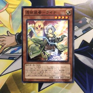 憑依装着-ライナ NR 1枚