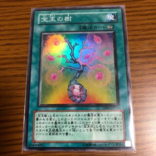 宝玉の樹 SR