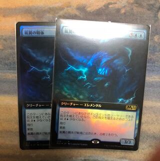 2枚セット 嵐翼の精体