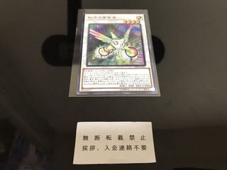 虹光の宣告者 ノーマル