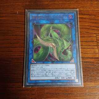 Predaplant Verte Anaconda