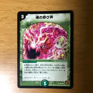 魂の呼び声 プロモ