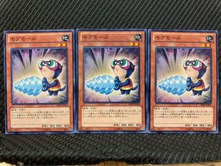 【ぽぽたん】遊戯王 3911 モグモール 3枚 ノーマル