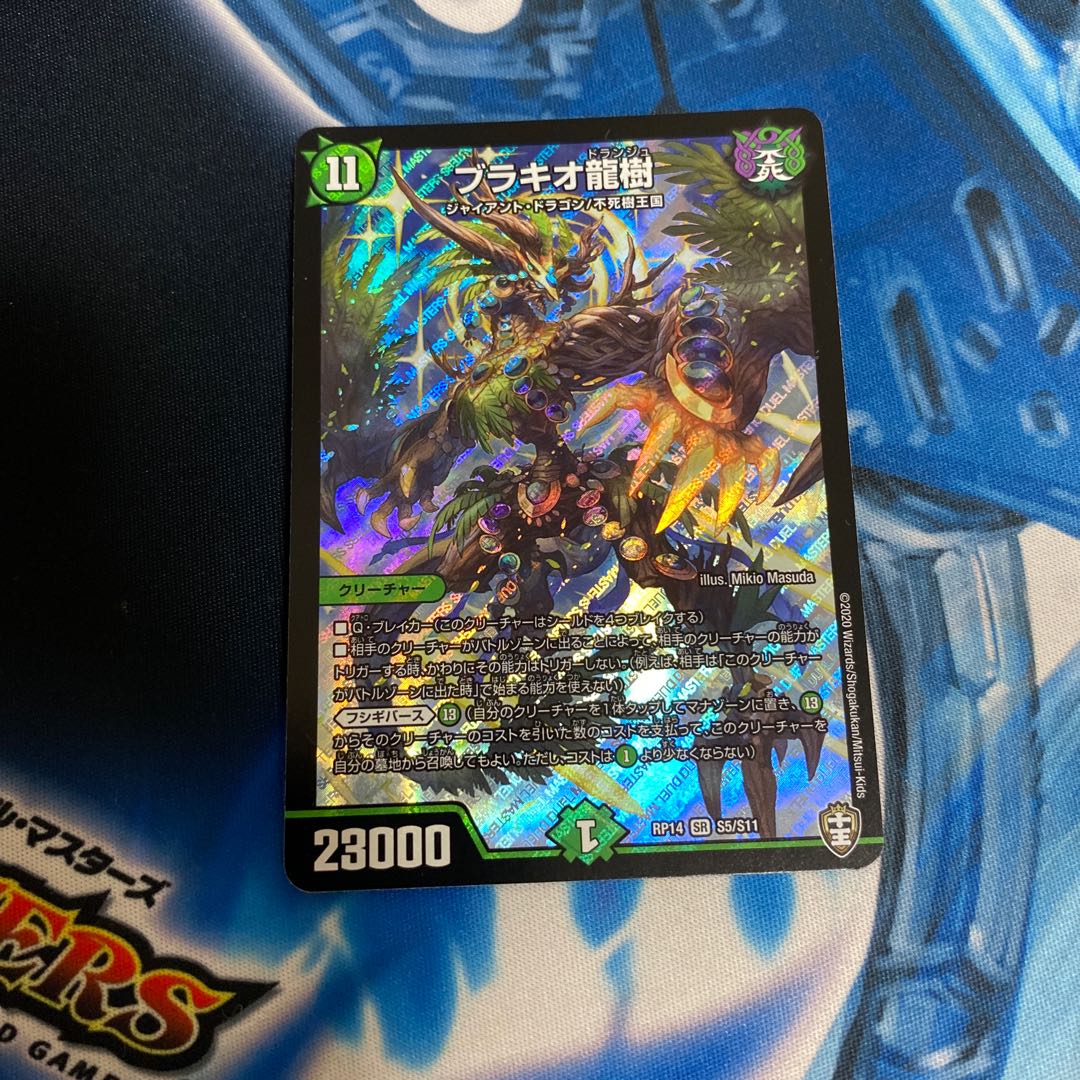 最安地ブラキオ龍樹