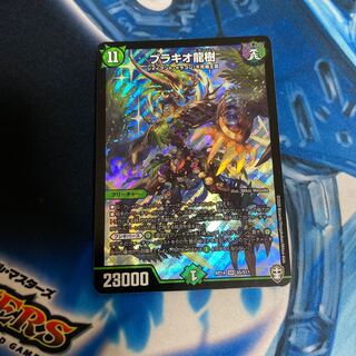 最安地ブラキオ龍樹