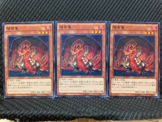 【ぽぽたん】遊戯王 3082 破面竜 3枚 ノーマル