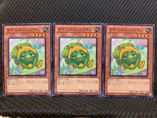 【ぽぽたん】遊戯王 5923 ナチュル・パンプキン 3枚 ノーマル