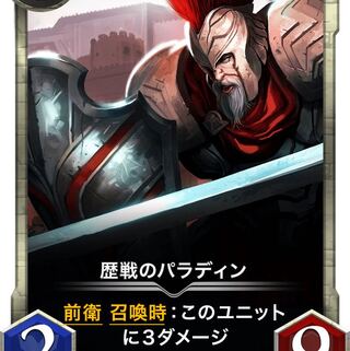 歴戦のパラディン Lv37