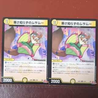 寒さ知らずのムサムー U 33/76