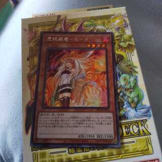 憑依装着-ヒータ