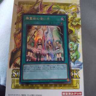 精霊術の使い手　シク