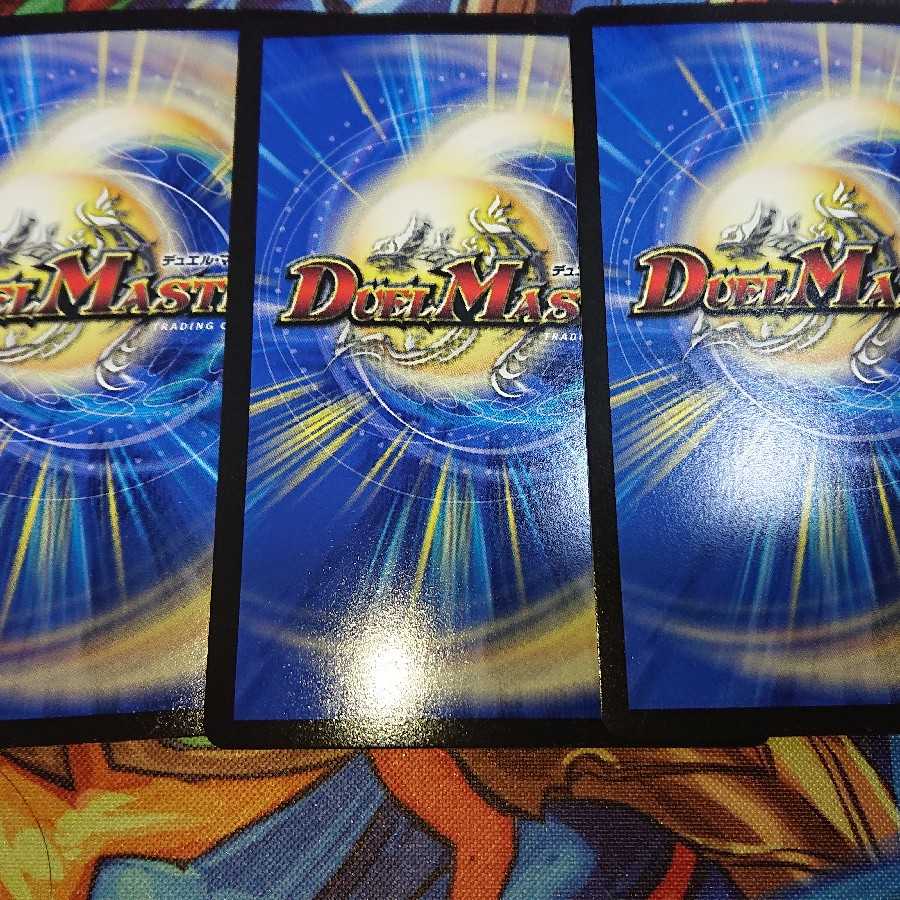 水上第九院 シャコガイル 3枚セット