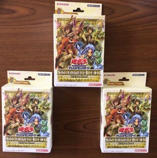 精霊術の使い手