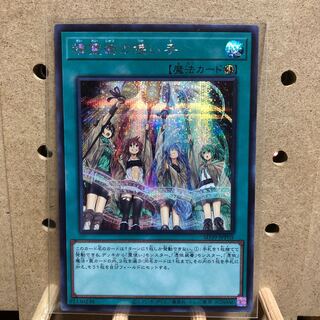 SD39 精霊術の使い手 SE